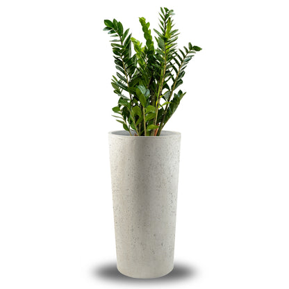 Concrete Vase