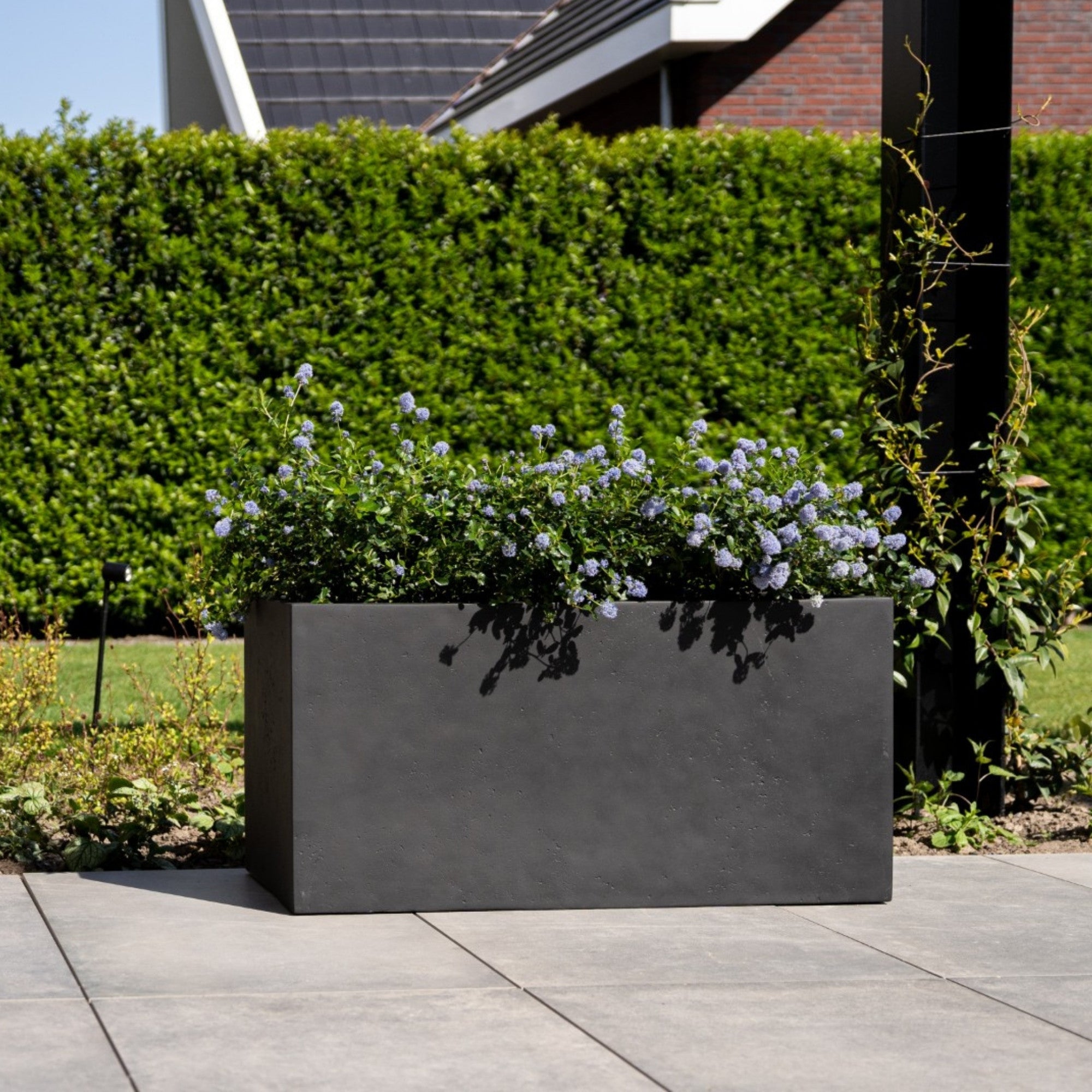 Concrete Box