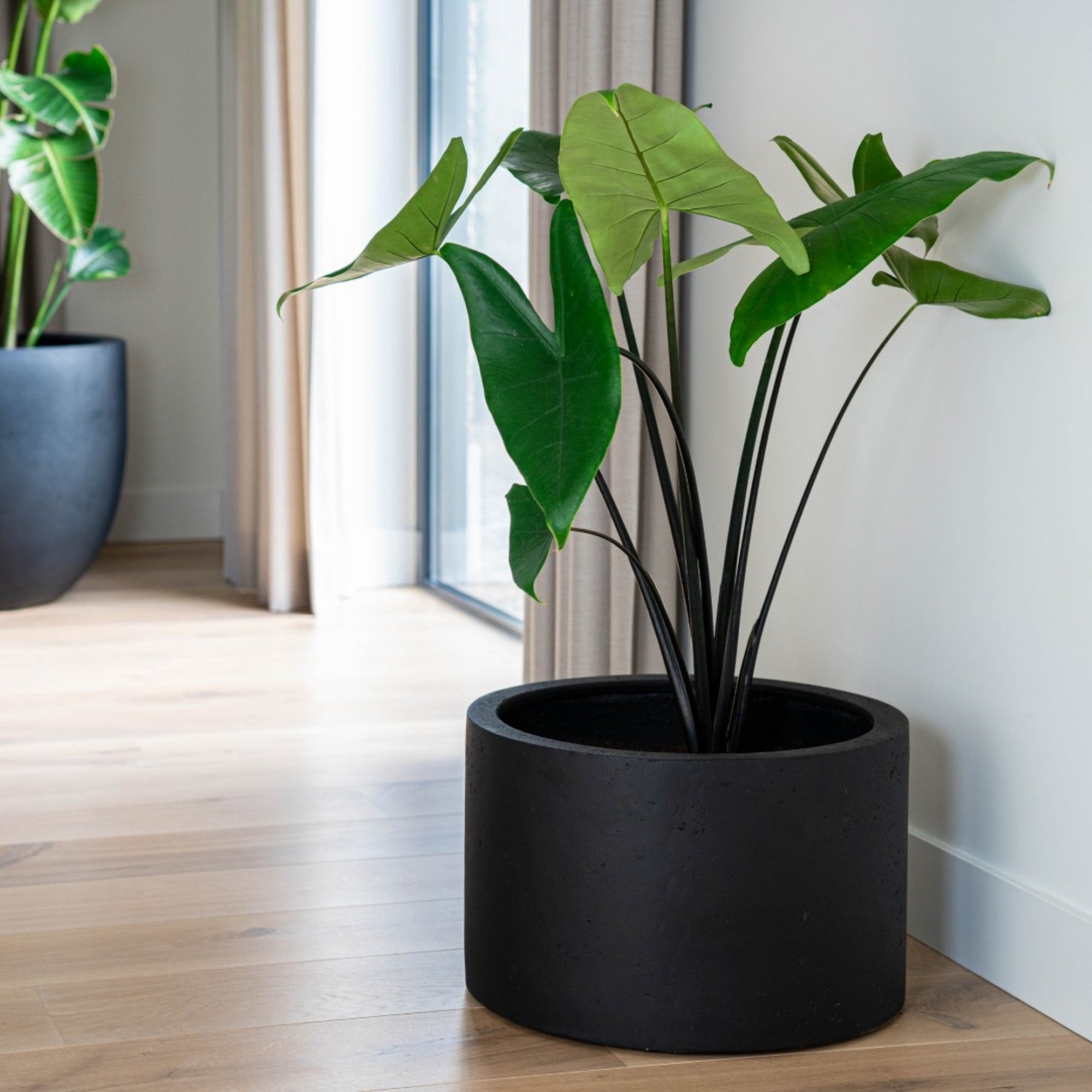 Concrete Cylinder