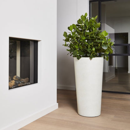 Concrete Vase