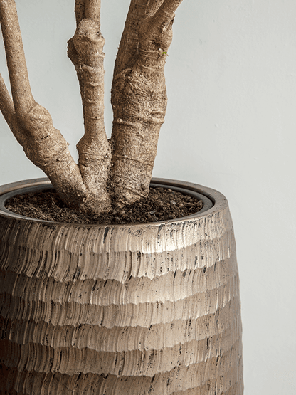 WELO Chrome Vase Hammered
