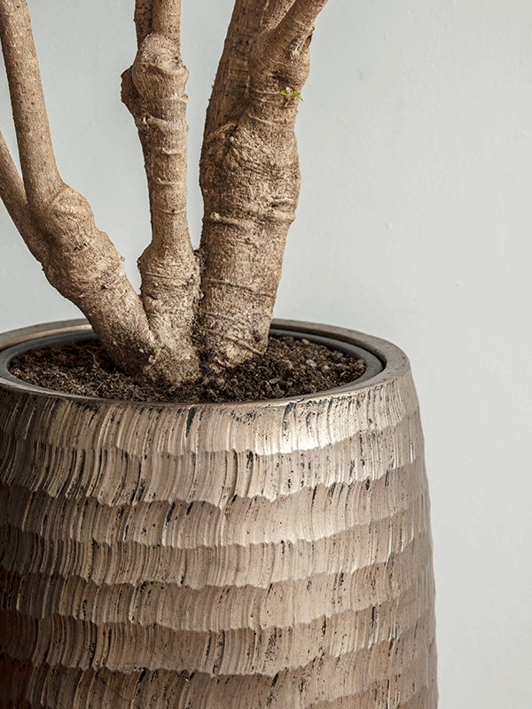 WELO Chrome Vase Hammered