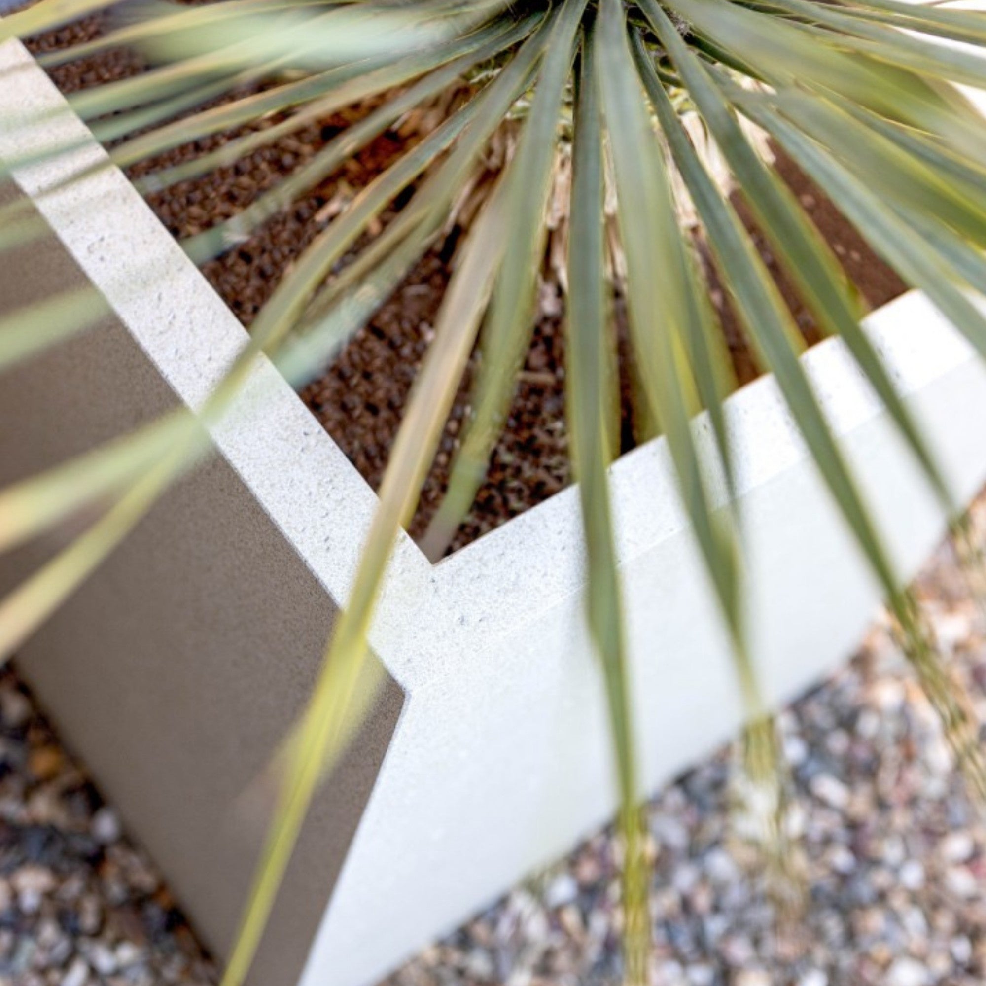 Concrete Box