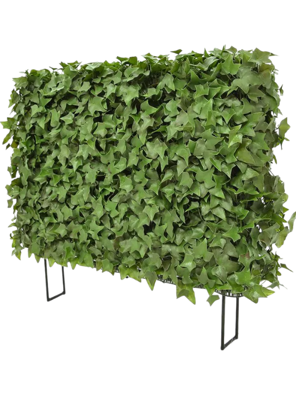WELO Kunstpflanzenhecke - Ivy