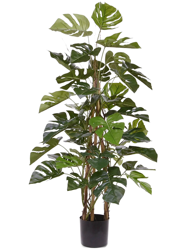 Kunstpflanze Monstera Deliciosa
