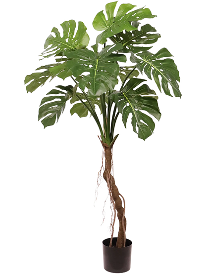 Kunstpflanze Monstera Deliciosa