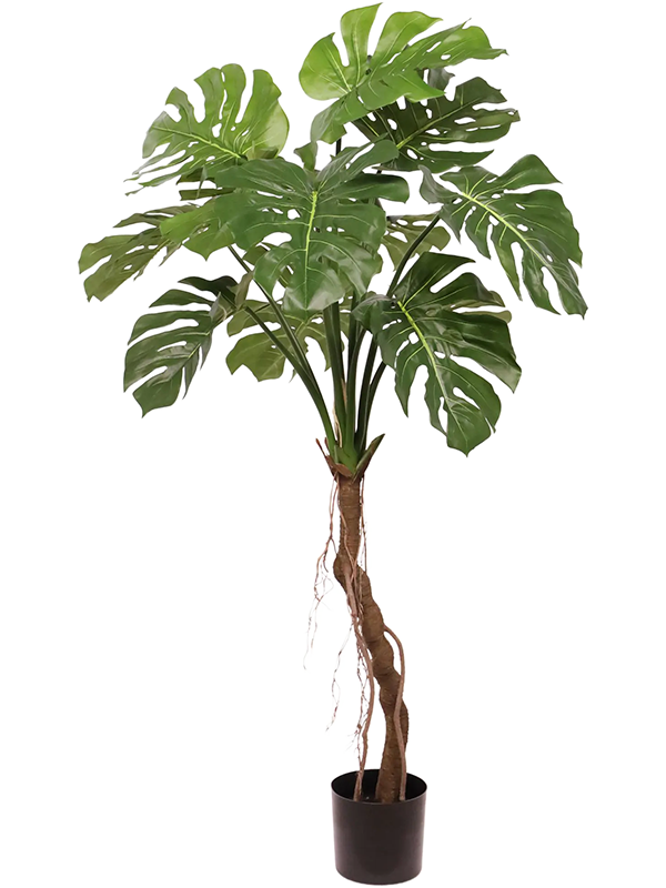 Kunstpflanze Monstera Deliciosa