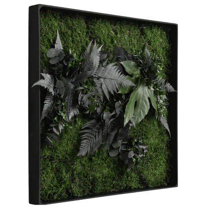 Moosbild / Mooswand - Jungle-Moos