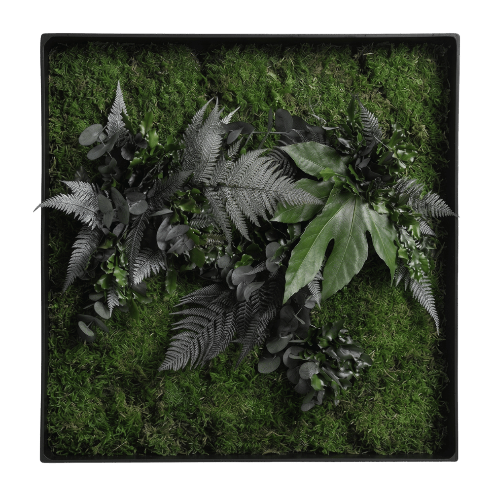Moosbild / Mooswand - Jungle-Moos