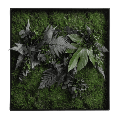 Moosbild / Mooswand - Jungle-Moos