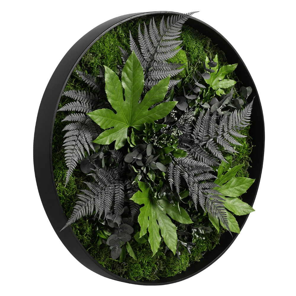Moosbild / Mooswand - Jungle-Moos