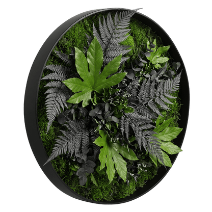 Moosbild / Mooswand - Jungle-Moos