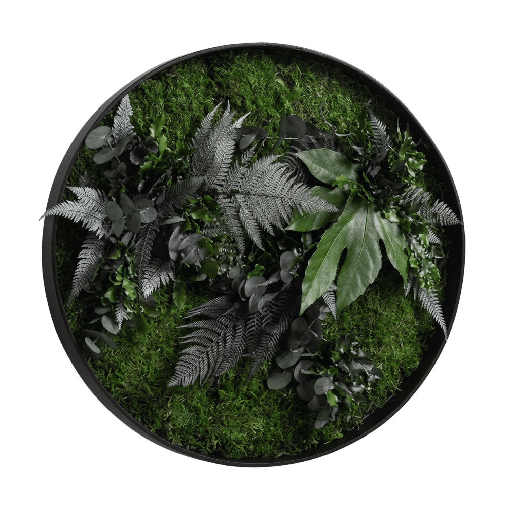 Moosbild / Mooswand - Jungle-Moos