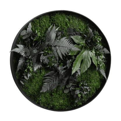 Moosbild / Mooswand - Jungle-Moos