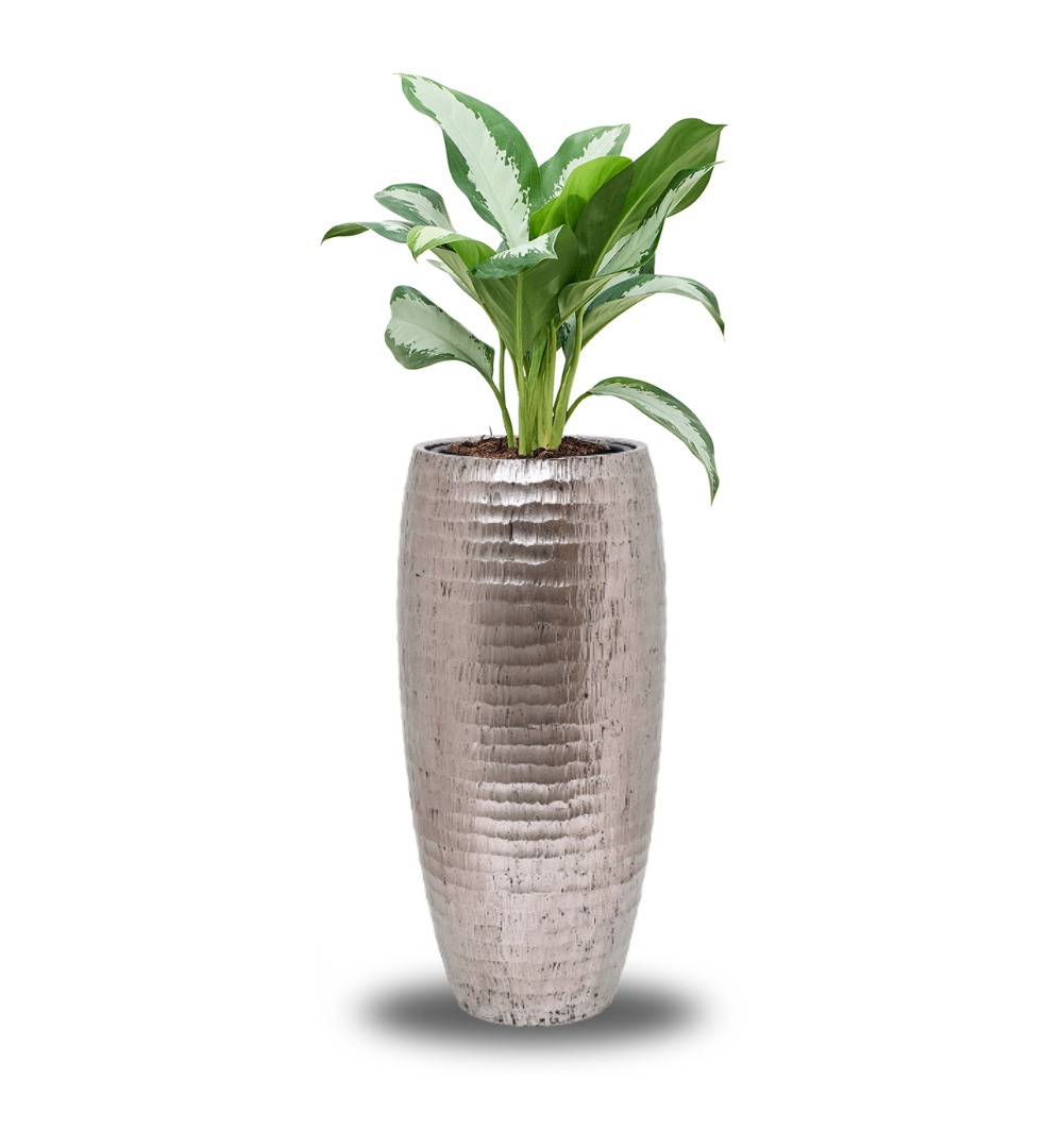 WELO Chrome Vase Hammered