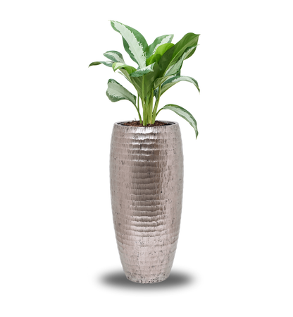 WELO Chrome Vase Hammered