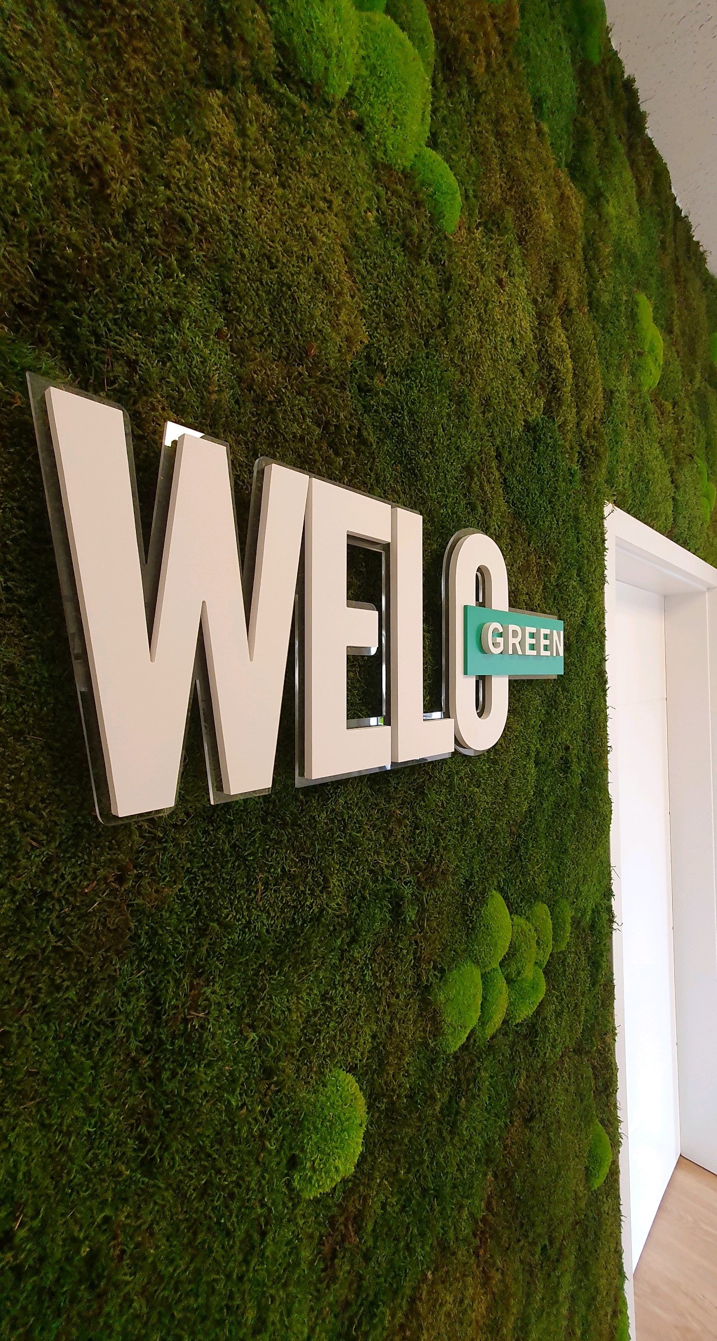 Mooswand WELO Green