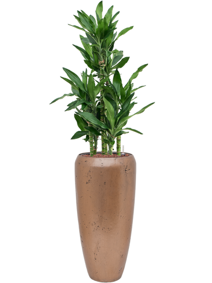 WELO Chrome Vase