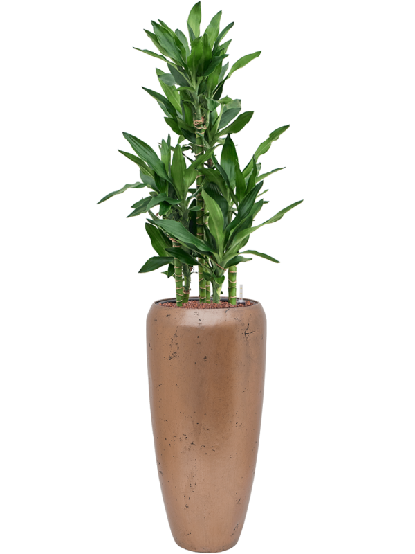 WELO Chrome Vase