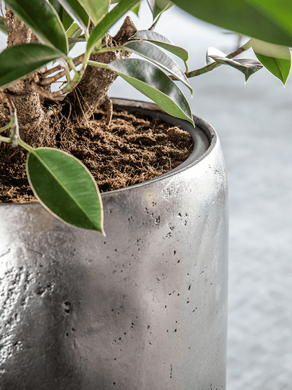 WELO Chrome Vase