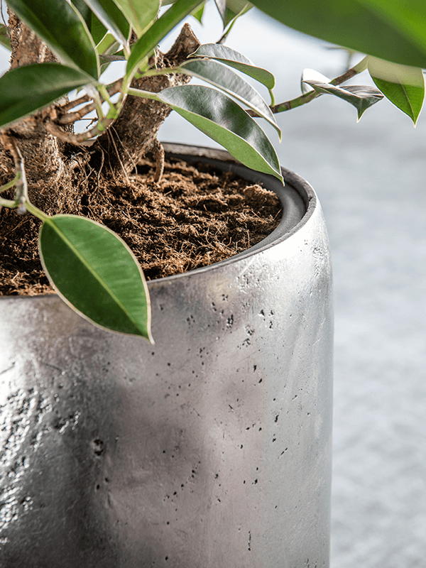 WELO Chrome Vase